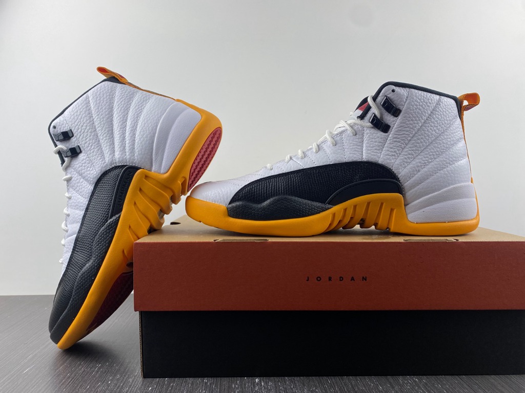 Air Jordan 12 Retro AJ12  DR8887-100